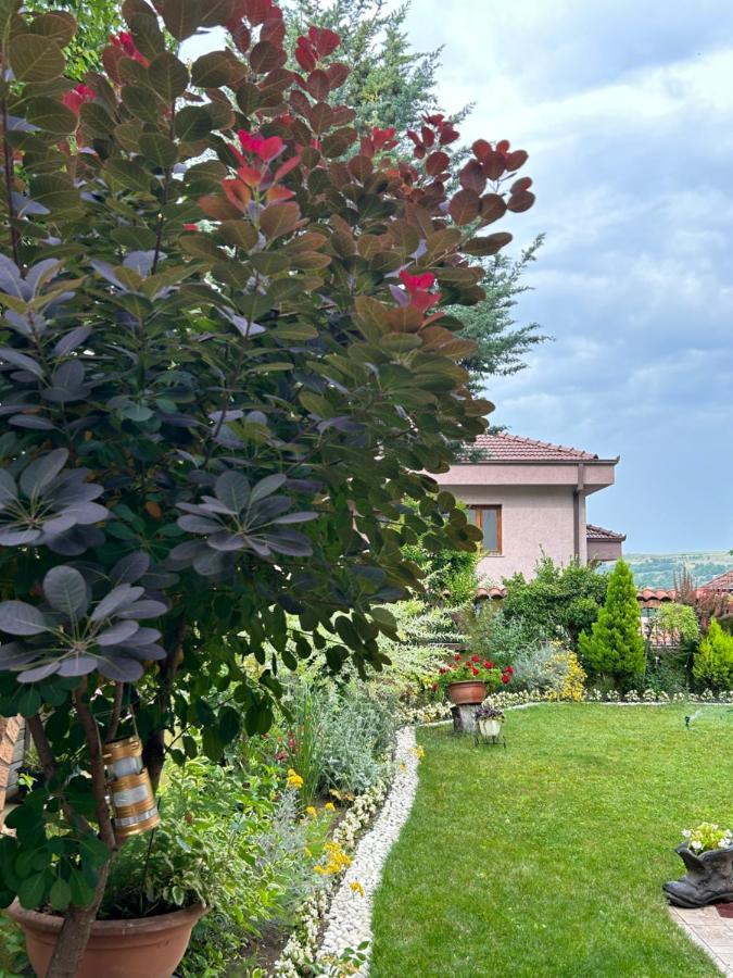 Lux Garden D